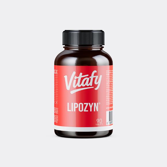 VİTAFY LİPOZYN resmi